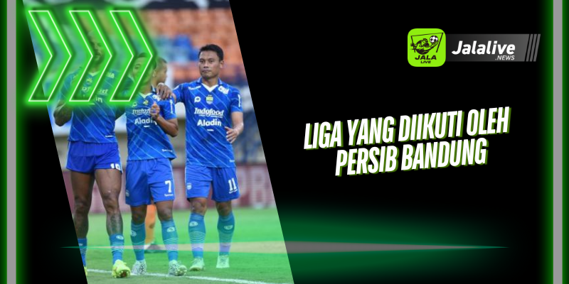 Liga yang Diikuti Oleh Persib Bandung